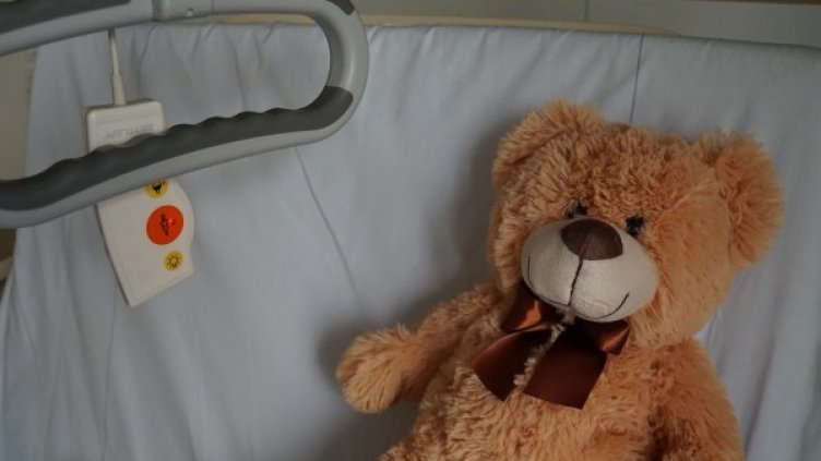 Снимка: Pixabay