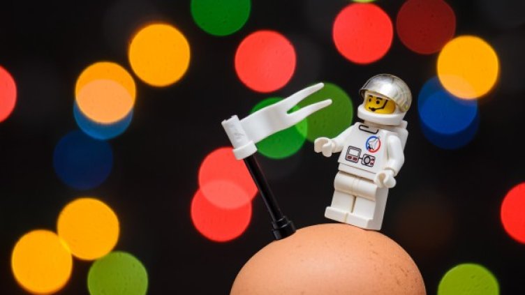 Снимка: Pixabay