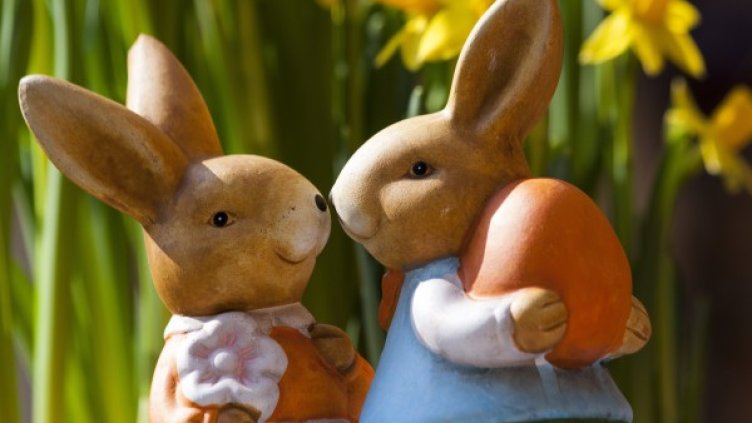 Снимка: Pexels