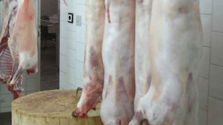 Архив: Булфото