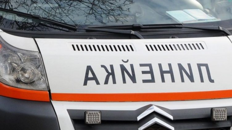 Снимка: Архив, Булфото