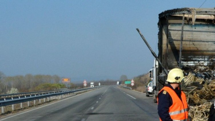 Снимка: архив "Булфото"