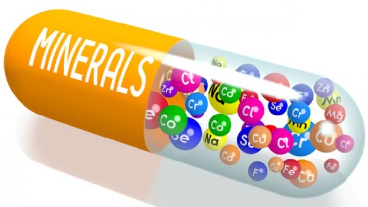 Снимка: istock