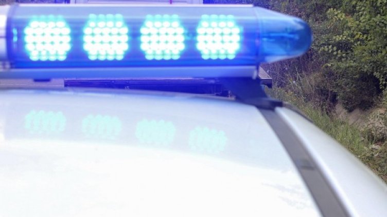 Снимка: Архив, Булфото