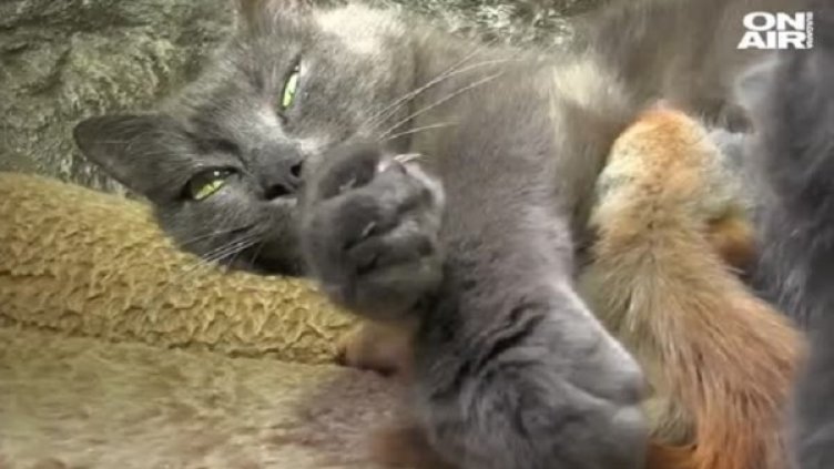 Снимка: bgonair.bg