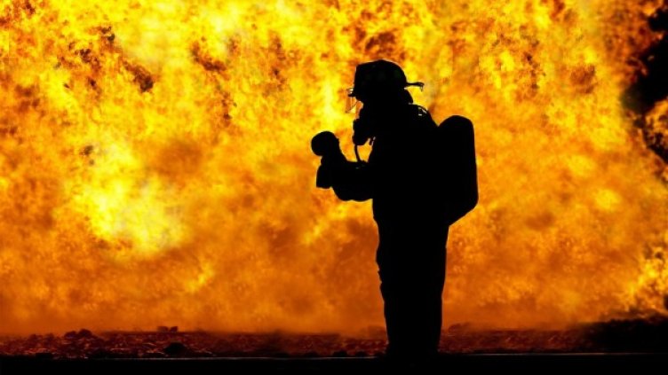 Снимка: pixabay.com