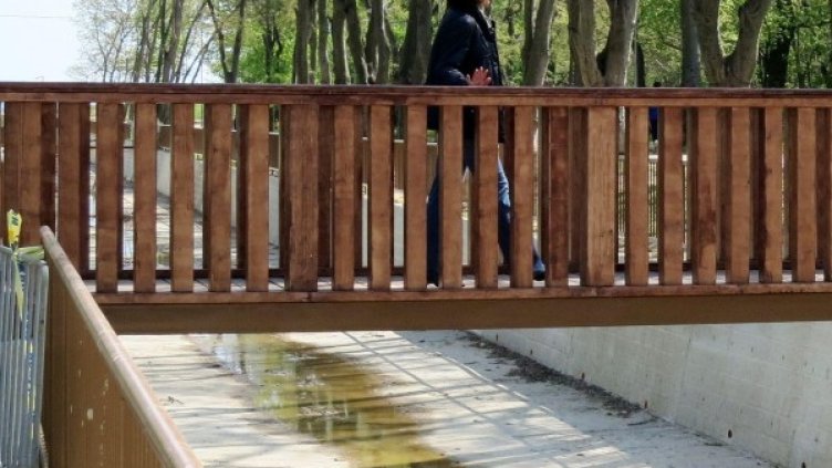 Снимка: BulFoto архив