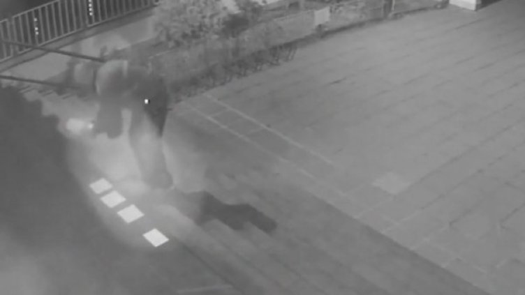 Снимка: Кадър Нова тв