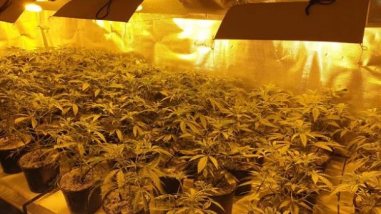 Снимка: МВР