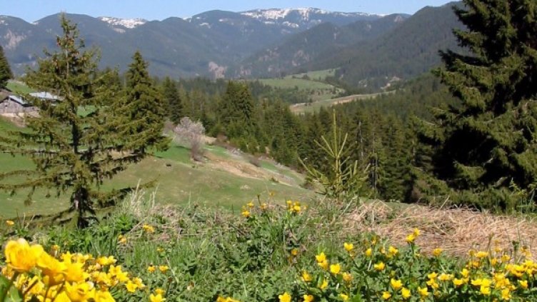 Снимка: архив "Булфото"