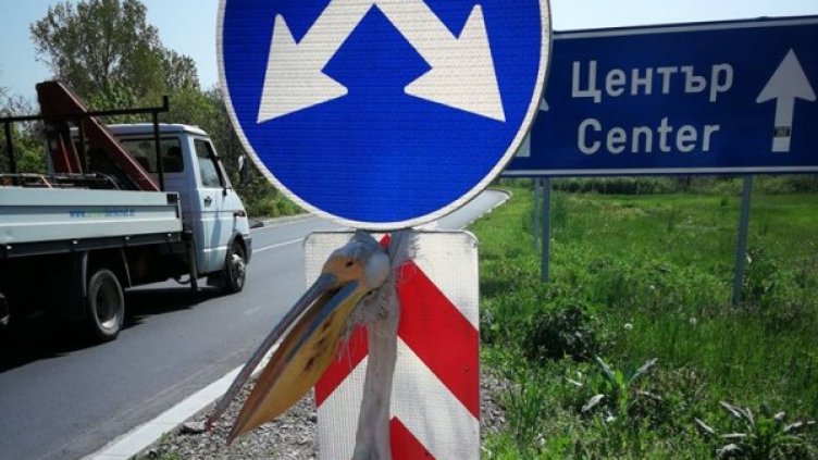 Снимка:  "Истината за Раднево" Георги Дулев