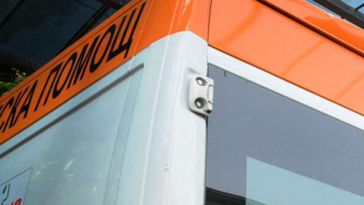 Снимка: Архив, Булфото