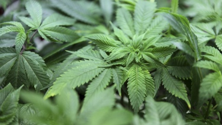 Снимка: архив, Reuters