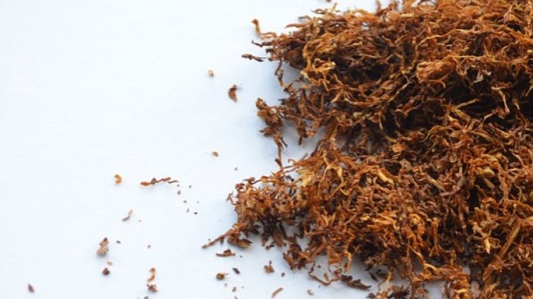 Снимка: pixabay