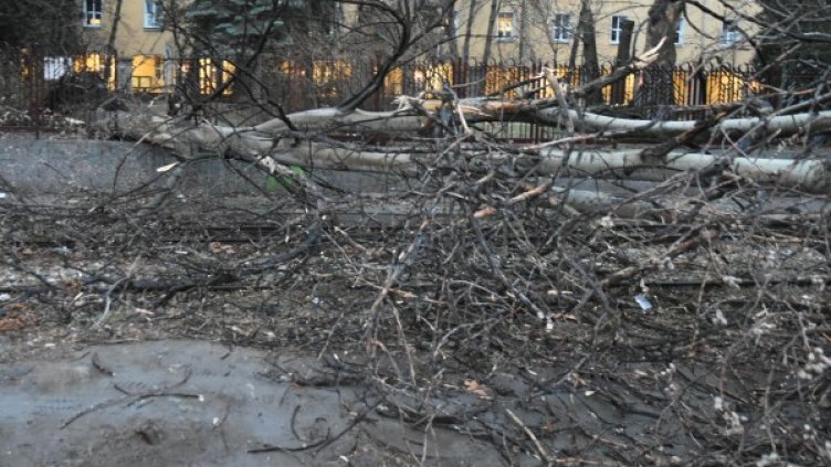 Снимка: Булфото, архив