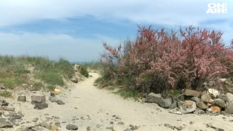 Промени в закона гласят: До 3000 лв. глоба за палатка върху дюни