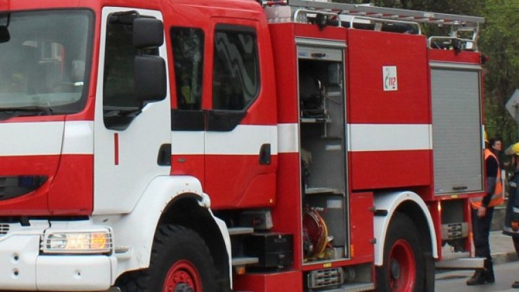 Снимка: архив Булфото