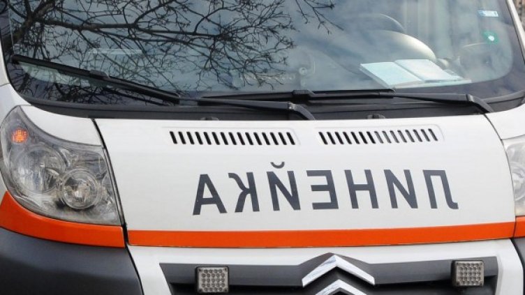 Снимка: Архив, Булфото