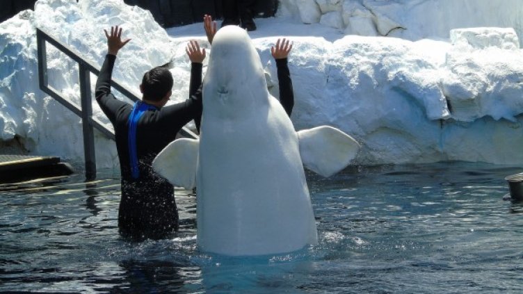 Снимка: Pixabay