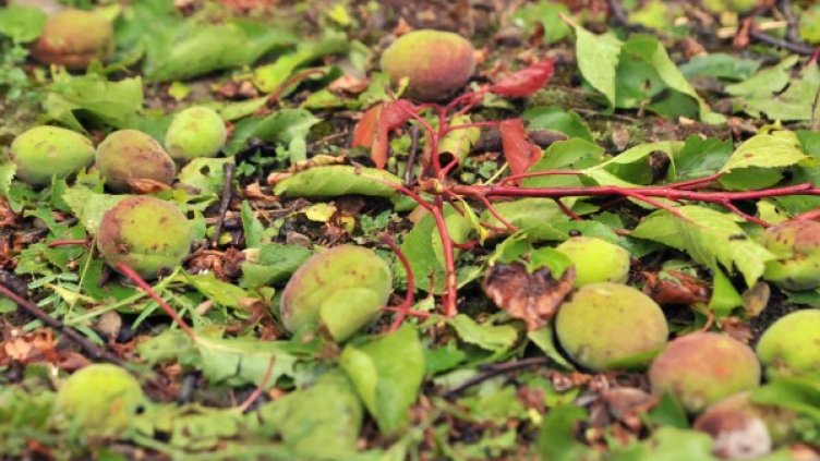 Снимка: архив, БулФото