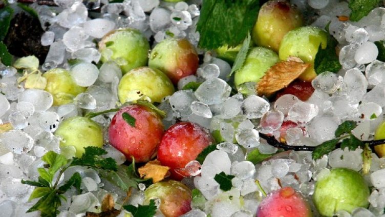 500 ракети срещу градушките за годината. Но стигат ли?