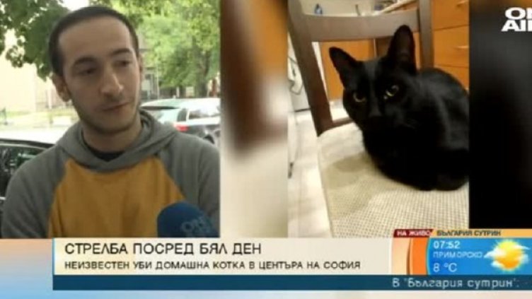 Снимка: Кадър Bulgaria ON AIR