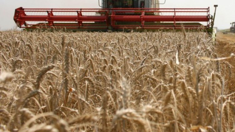 Снимка: архив, БулФото