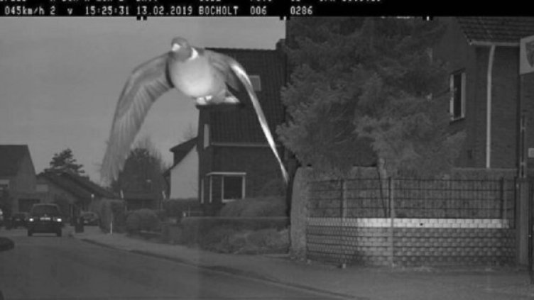 Снимка: Facebook