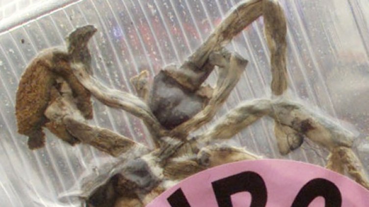 Снимка: архив Reuters