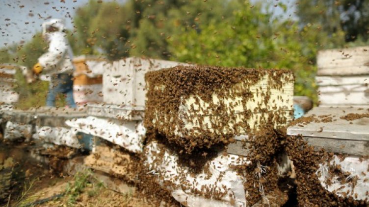 Снимка: Reuters