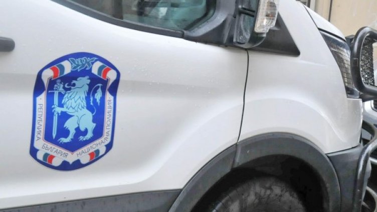 Снимка: архив "Булфото"