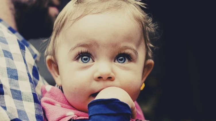 Снимка: pixaBay