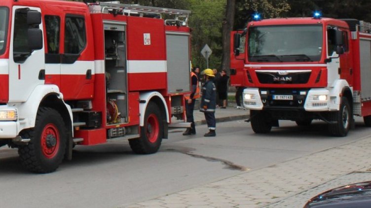 Снимка: архив "Булфото"