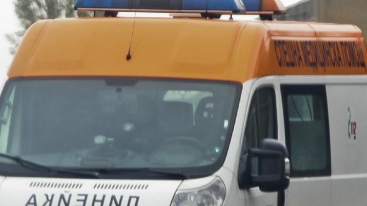 Снимка: Архив, Булфото