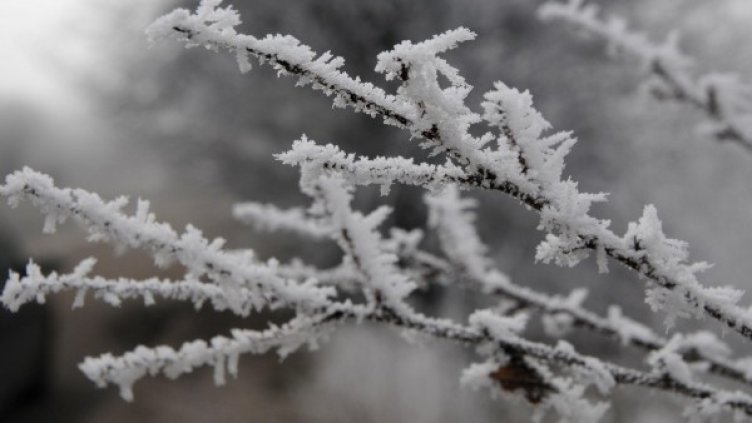 Снимка: архив, БулФото