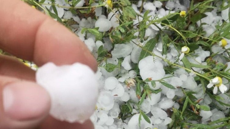 Снимка: Facebook