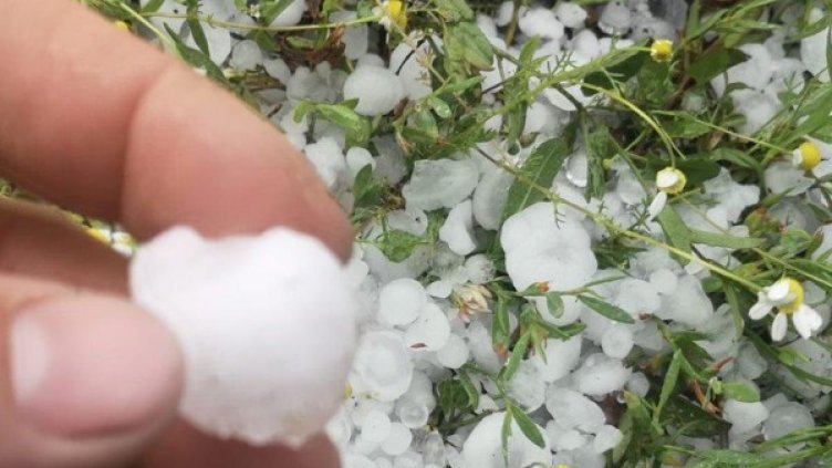 Снимка: Facebook