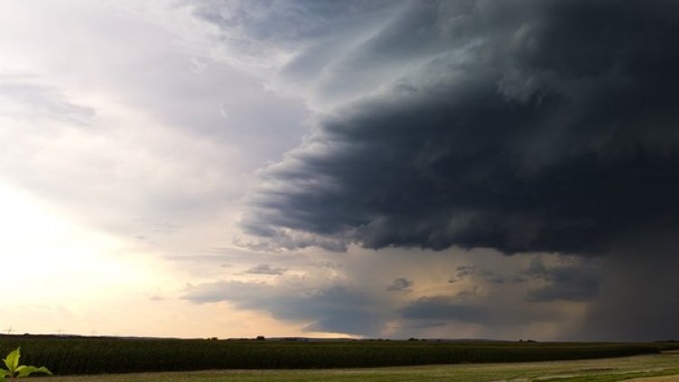 Снимка: Pixabay