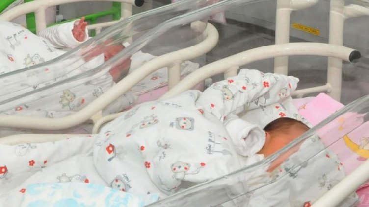 Снимка: архив, Булфото