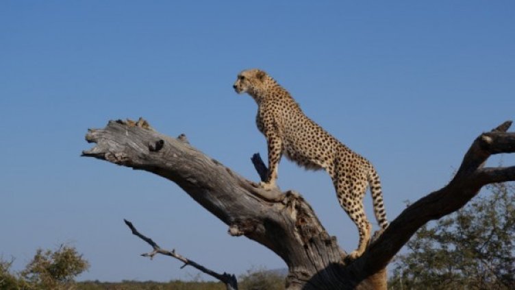 Снимка: Pexels