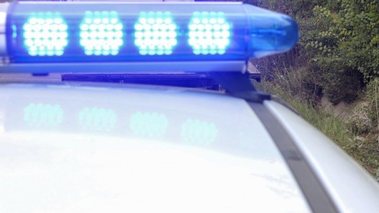 Снимка: Архив, Булфото