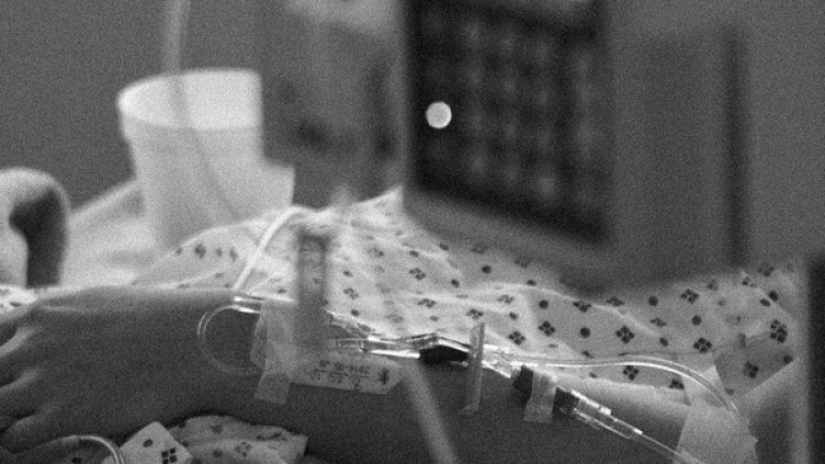 Снимка: Pixabay