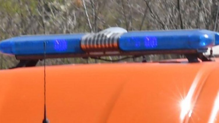 Снимка: архив Булфото