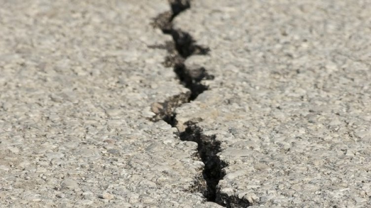 Снимка: Pixabay