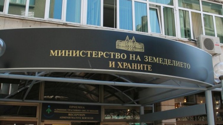 Снимка: Булфото