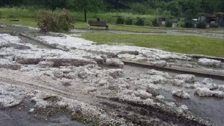 Снимка: Facebook