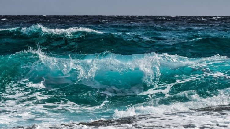 Снимка: Pixabay