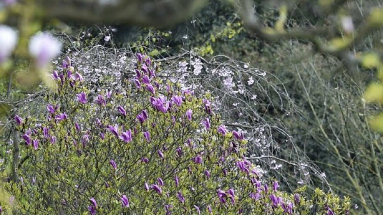 Снимка: Reuters, архив