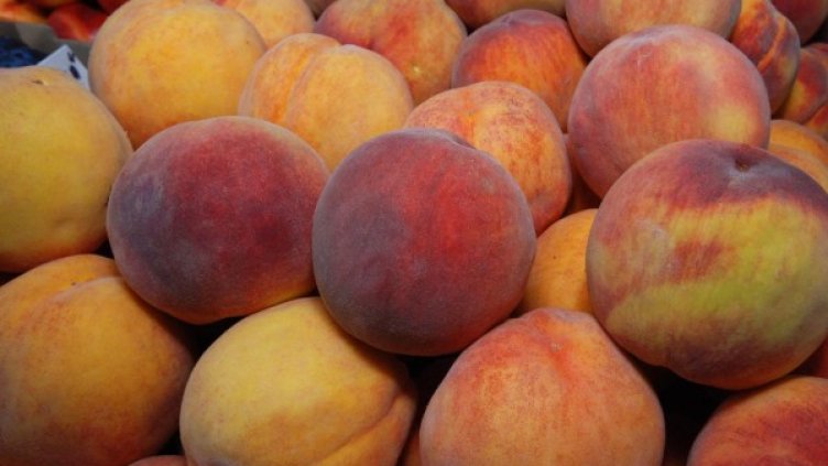 Архив: Булфото