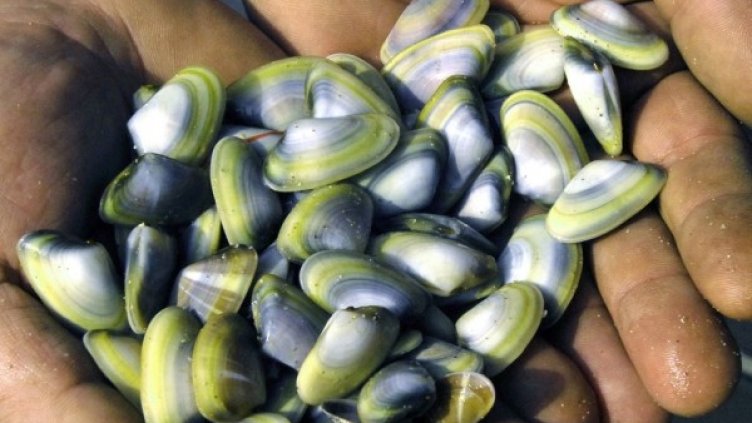 Снимка: Черно море